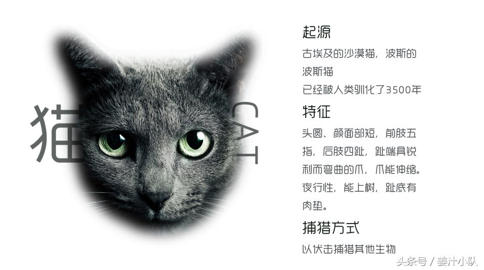 打造高颜值ppt的素材与方法,令人惊艳的ppt应该有什么特点