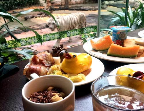 带你玩转长隆动物园,一天玩转长隆欢乐世界和动物园