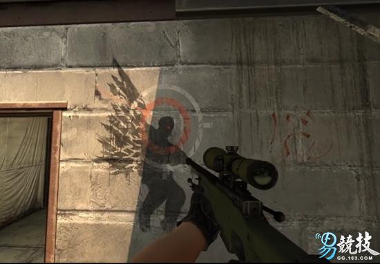 仓鼠你不知道的冷知识,长沙你不知道的冷知识