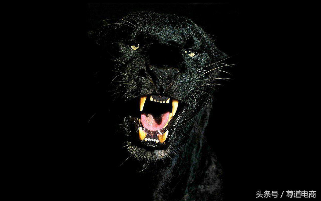 win7开机后黑屏只有鼠标,win7开机黑屏怎么解决