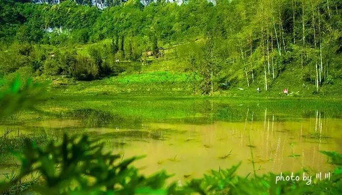 世界上最大的坑是什么,世界上最深的坑是什么坑