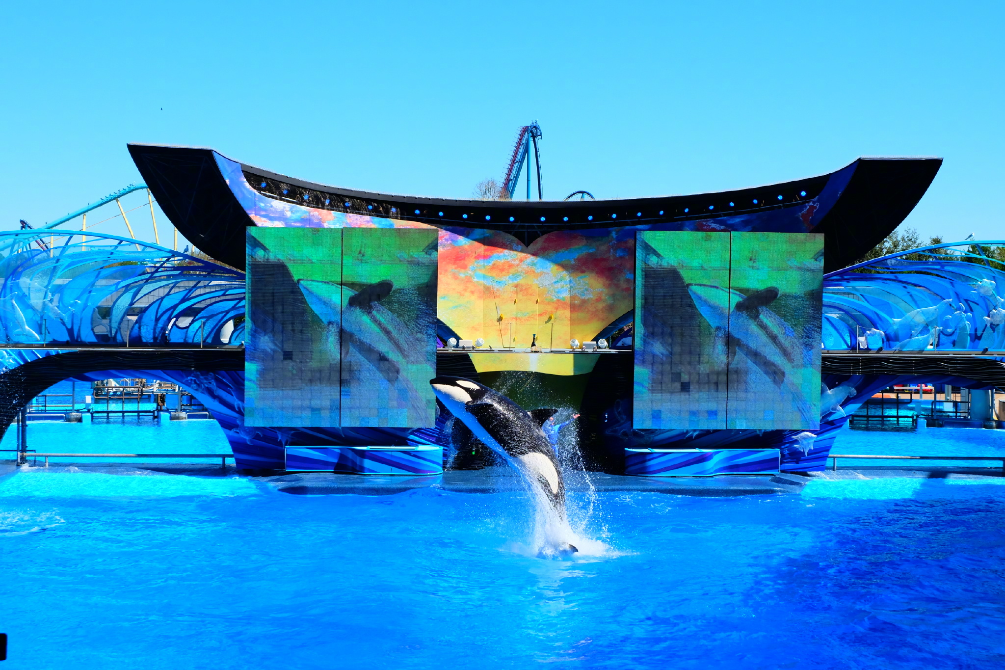 佛罗里达七日游攻略,佛罗里达5天旅游