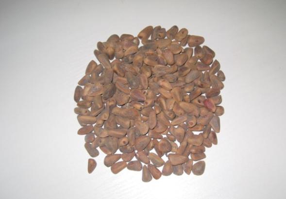 治牛皮癣民间偏方有哪些,生姜洋葱泡白醋治疗牛皮癣的秘方