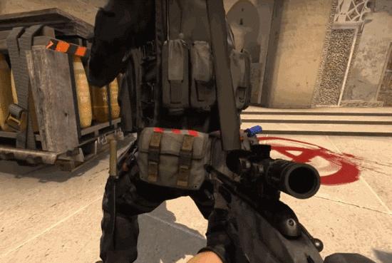 仓鼠你不知道的冷知识,长沙你不知道的冷知识