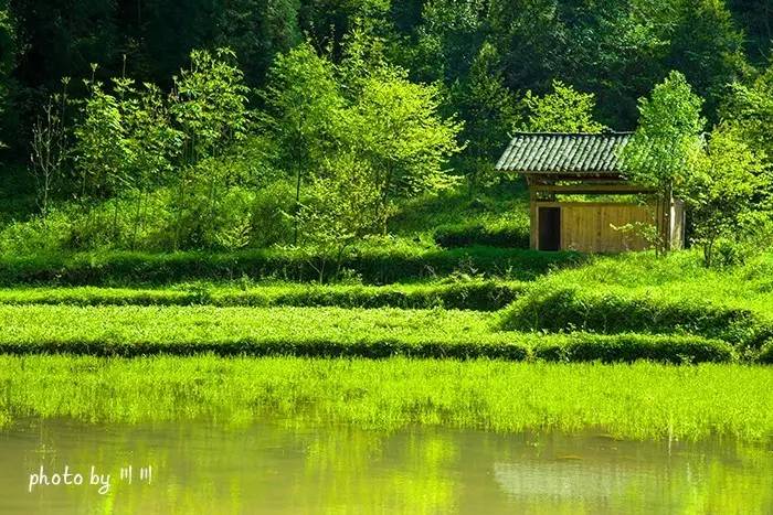 世界上最大的坑是什么,世界上最深的坑是什么坑