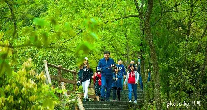 世界上最大的坑是什么,世界上最深的坑是什么坑