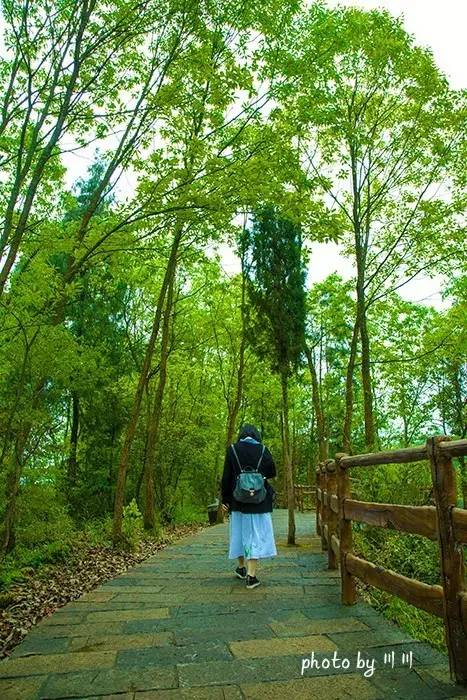 世界上最大的坑是什么,世界上最深的坑是什么坑