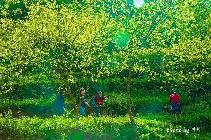 世界上最大的坑是什么,世界上最深的坑是什么坑