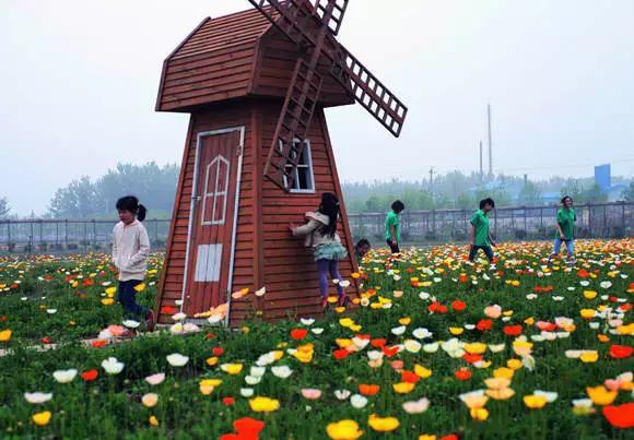 浙江五一旅游攻略亲子游,五一山东小众旅游亲子游