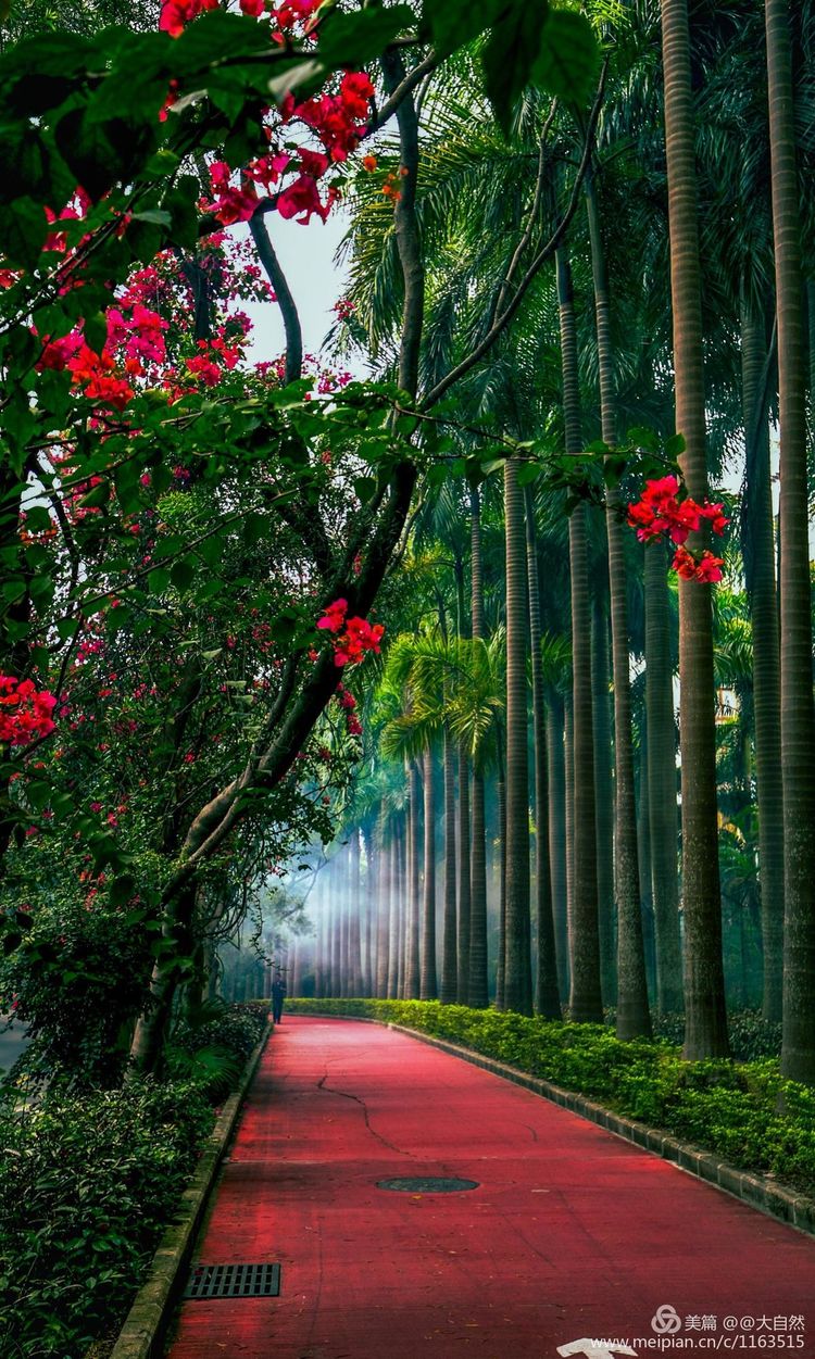 最美深圳城市全景,最美深圳打卡地文旅点