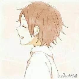 泰迪三千买的贵不贵,三千左右的贵泰迪