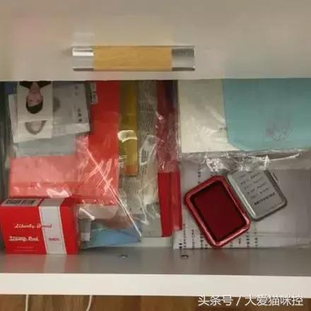 主人起床后发现脸上全是印泥，调查后发现，凶手是它