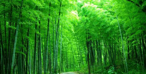 南昌自驾游一日游景点推荐,五一自驾游推荐南昌三天游