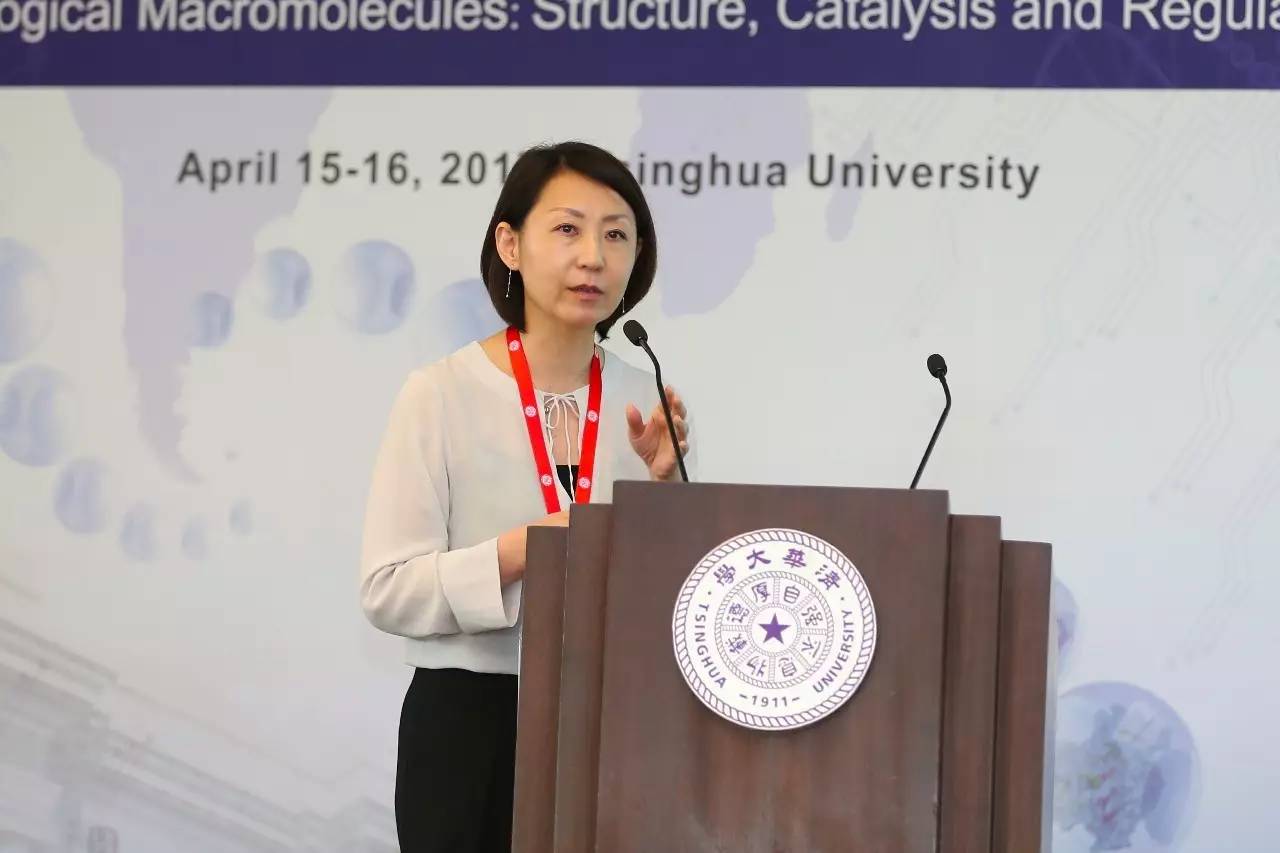 2017年结构生物学大会,国际科学大会