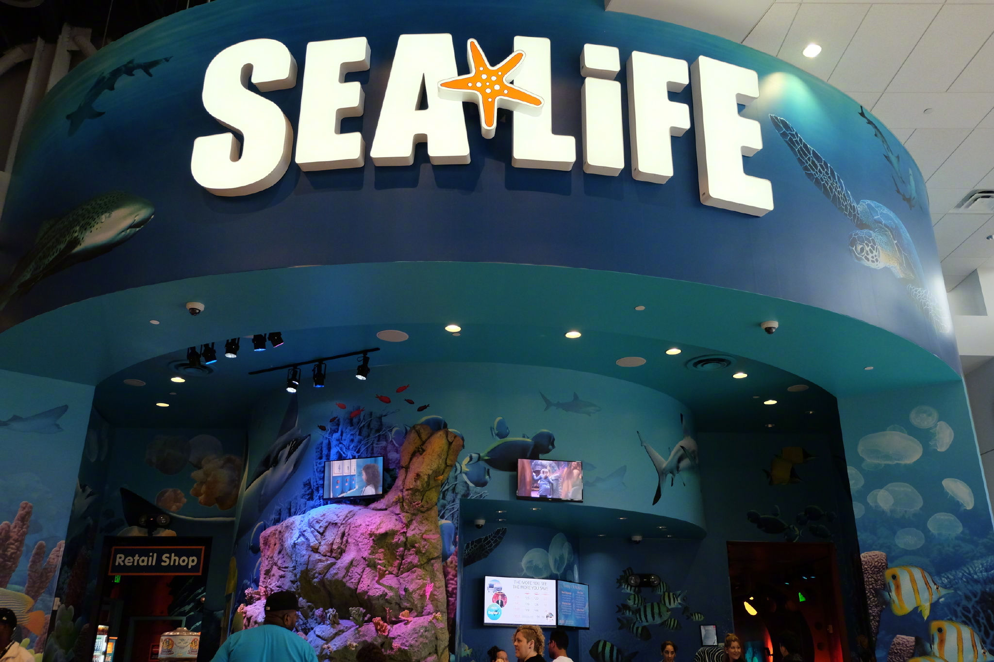 佛罗里达七日游攻略,佛罗里达5天旅游