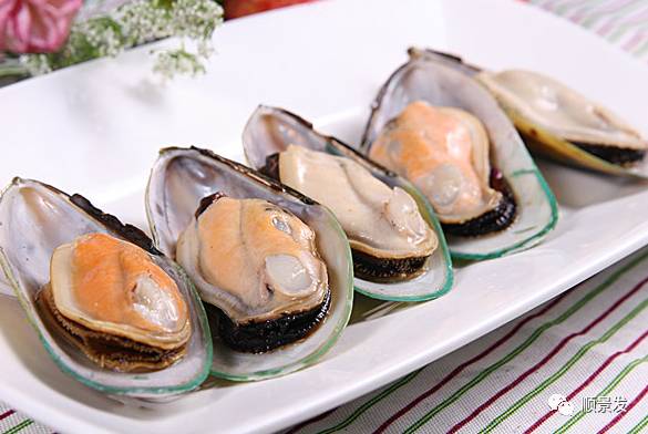 十种常见贝类海鲜图片,贝类海鲜全图