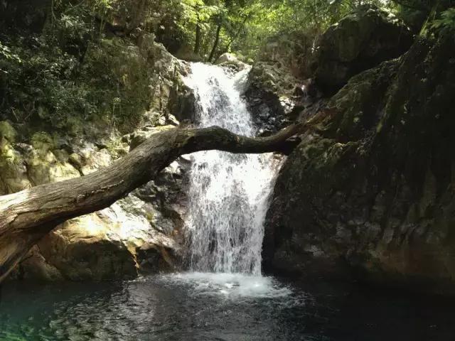 中间计量表可以作为结算的依据吗,中期计量可以作为结算的依据吗