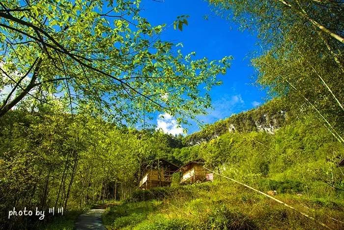 世界上最大的坑是什么,世界上最深的坑是什么坑