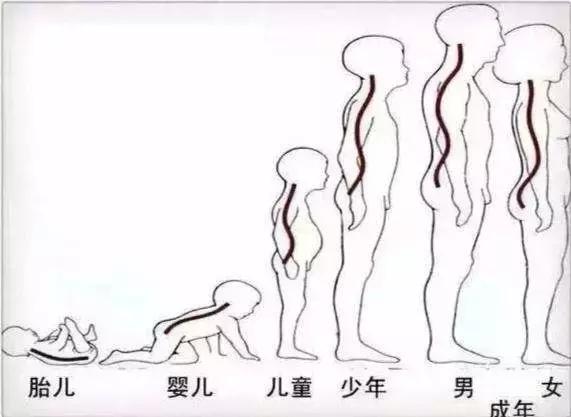 宝宝的正确睡姿新手妈妈一学就会,宝宝正确睡姿该如何
