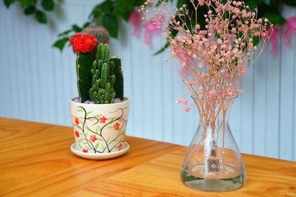 银河系最迷你的和菓子店