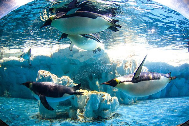 酒店控看过来，京津冀短途旅行亲测