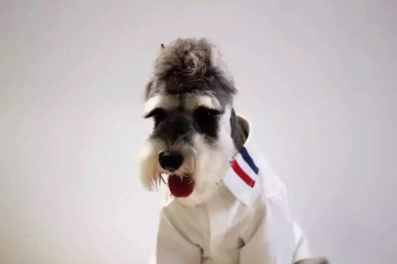 重生加强版！朋友圈里这14样潮物硬生生地被网红们毁了