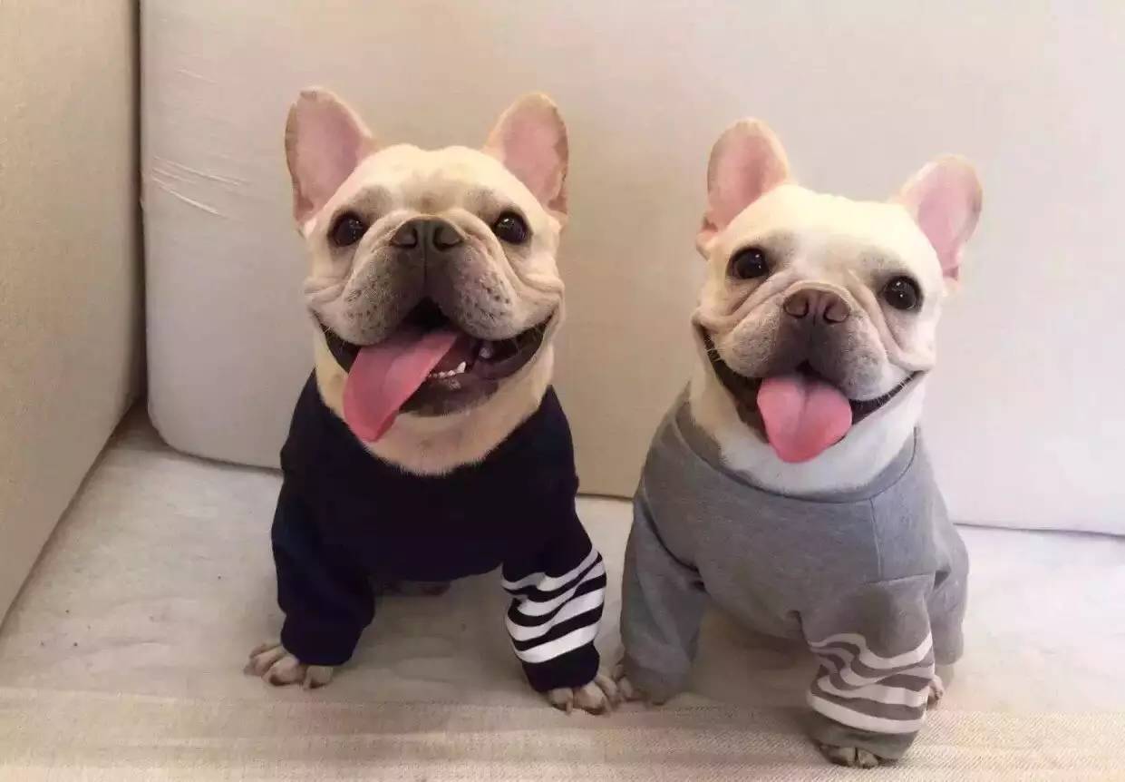 重生加强版！朋友圈里这14样潮物硬生生地被网红们毁了