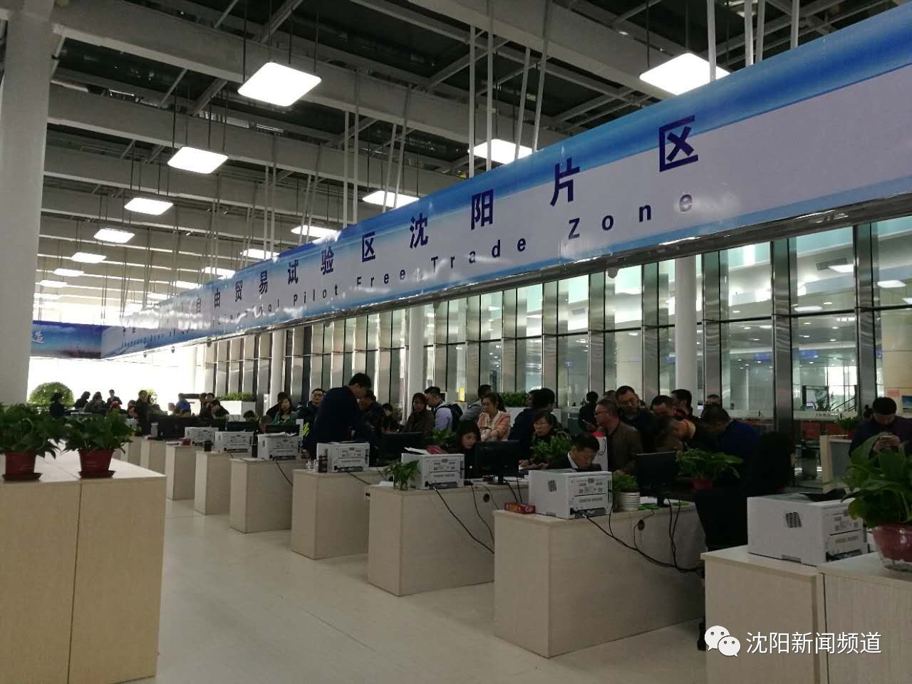 沈阳自贸区跨境电商企业,沈阳自贸区进口商品