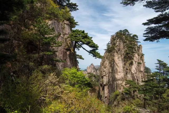 上海高铁到黄山4日游攻略,上海高铁到黄山旅行攻略