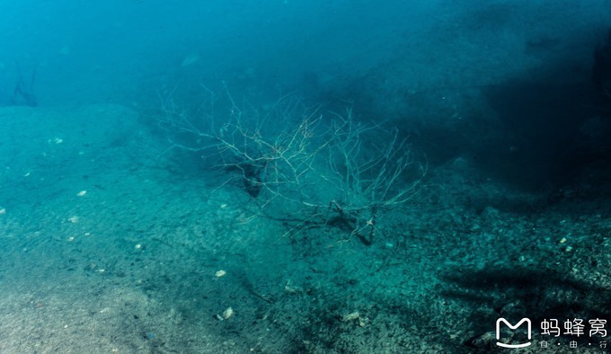 见神池浩渺如天镜浮空出自哪里,神池登山步道一日游路线
