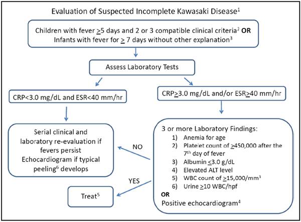 川崎病阅读,川崎病问诊要点