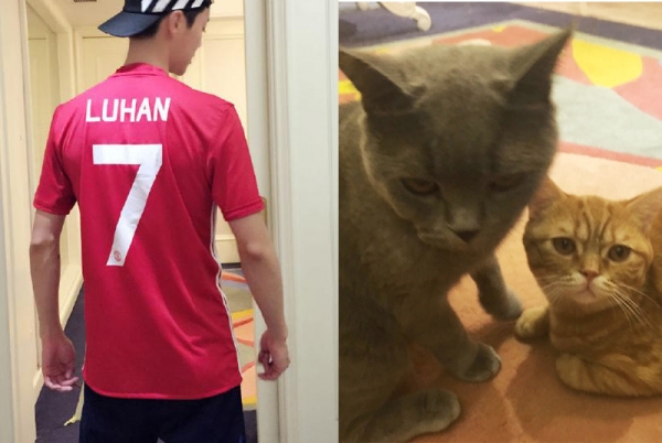 井柏然张若昀红毯,井柏然张若昀机场视频