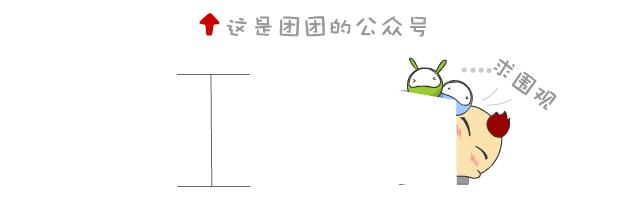 团团最近在玩什么,团团最近活动