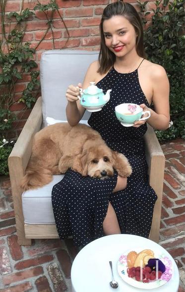 你爱在朋友圈晒包包和自拍，原来女明星也爱干这个，还更牛！