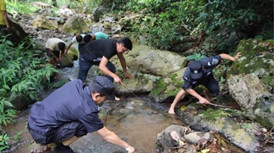 恶意放生鳄鱼的危害,私自放生鳄雀鳝的危害