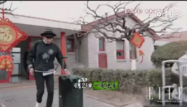 井柏然张若昀红毯,井柏然张若昀机场视频