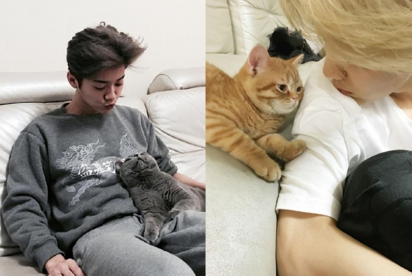 井柏然张若昀红毯,井柏然张若昀机场视频