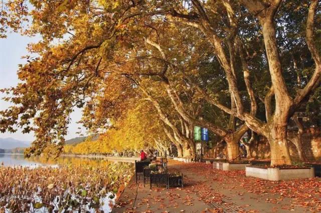 上海高铁到黄山4日游攻略,上海高铁到黄山旅行攻略