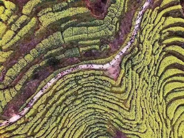 上海高铁到黄山4日游攻略,上海高铁到黄山旅行攻略