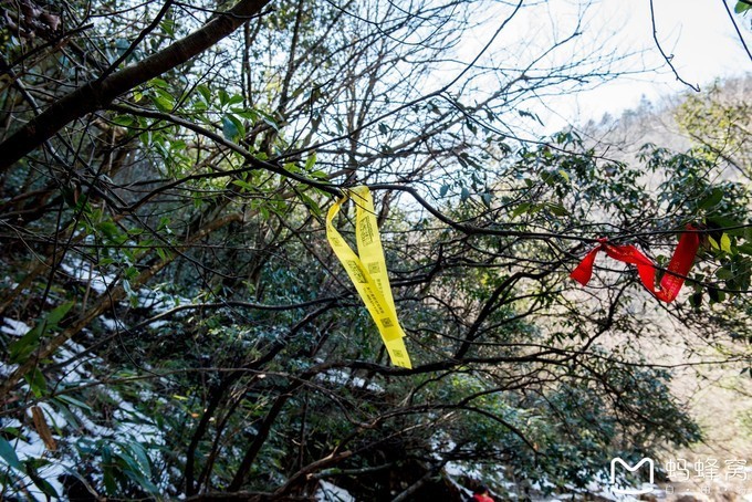 见神池浩渺如天镜浮空出自哪里,神池登山步道一日游路线