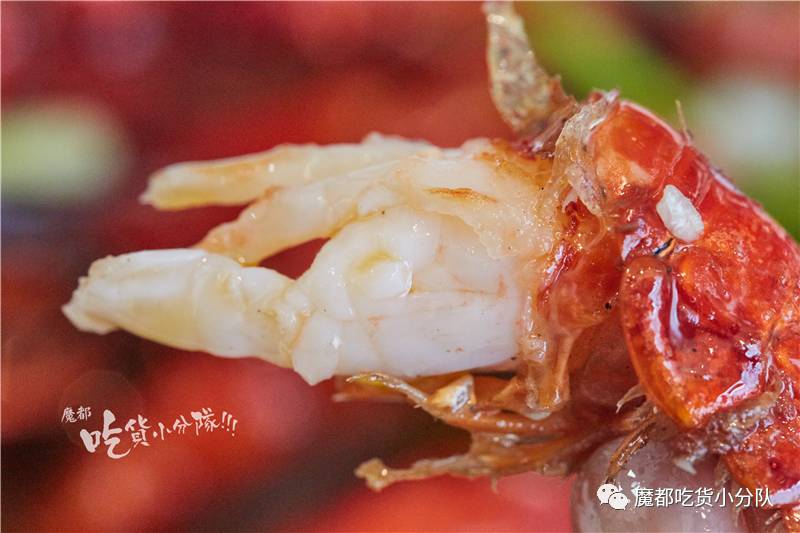 站对帮派，撸虾才划算