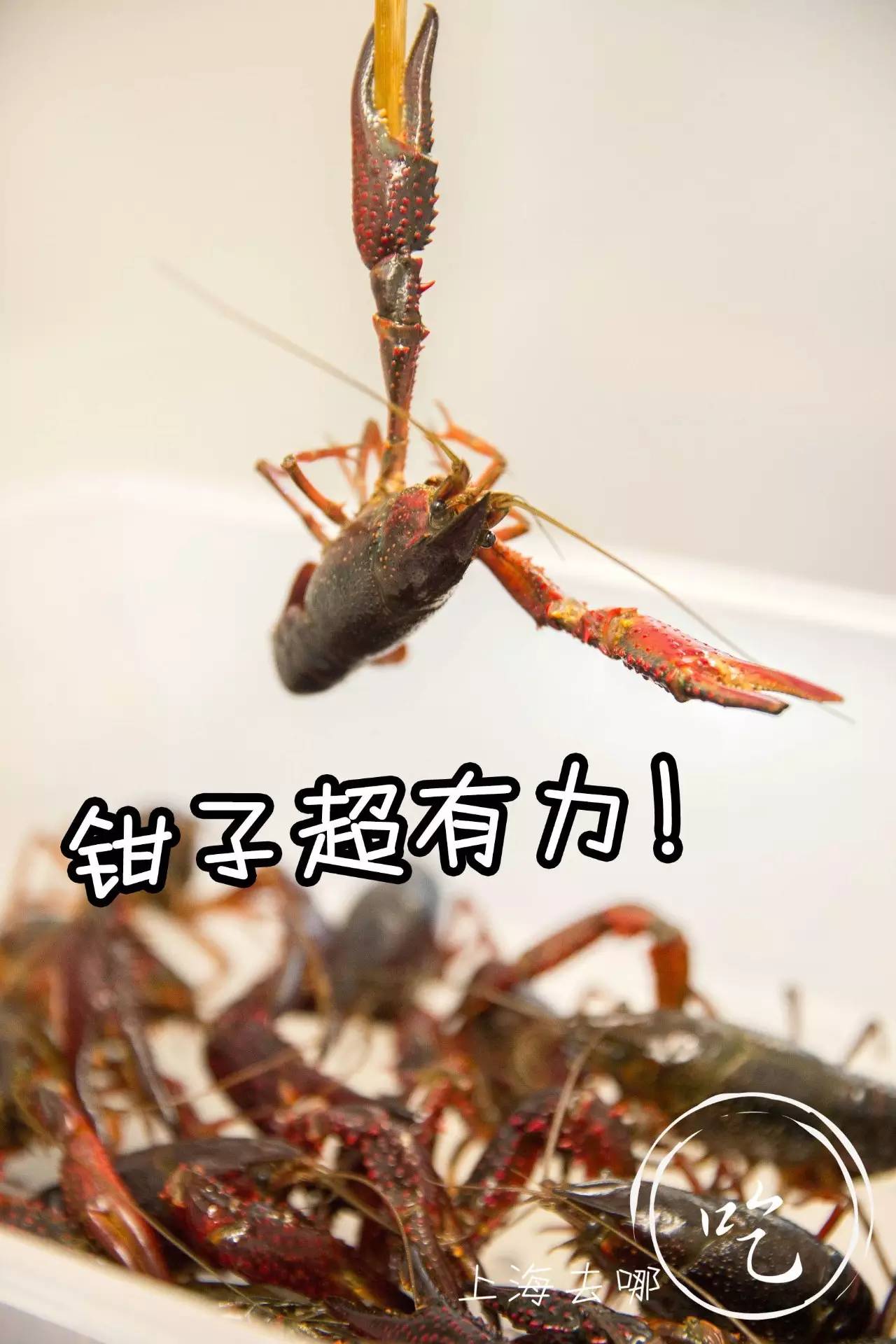 这家店营业到清晨2点，卖的都可以选Size，还给手活儿好的打折……