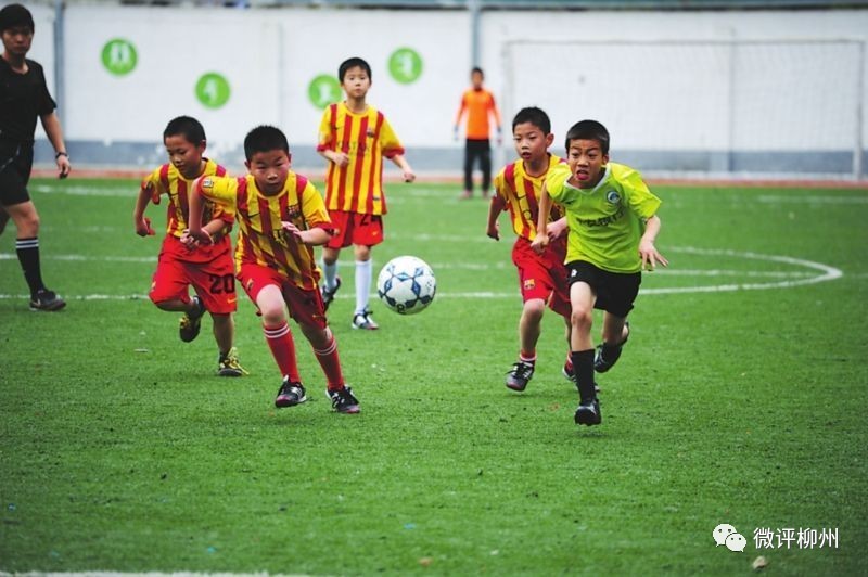 关乎数万家长，柳北区教育改革放大招