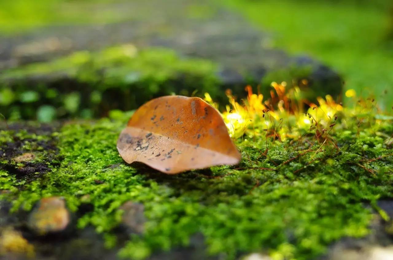 天下没有陌生人全文,天下没有陌生人海报