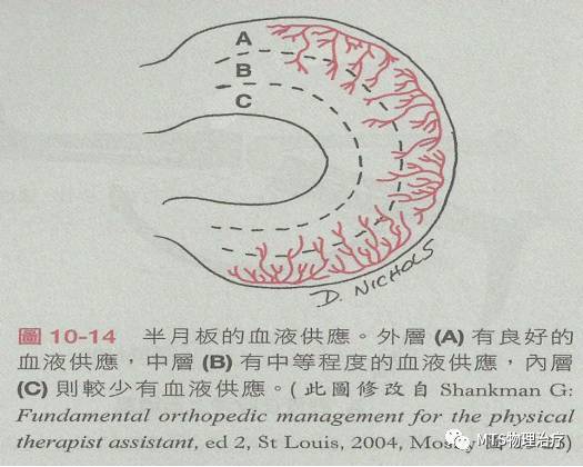 半月板撕裂,半月板资料