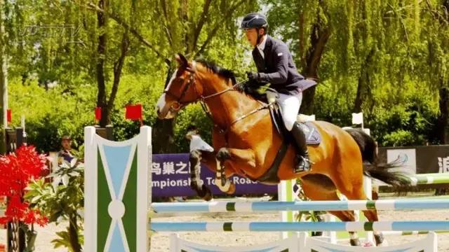 北京冠军杯马术巡回赛,2021鸟巢之路马术比赛