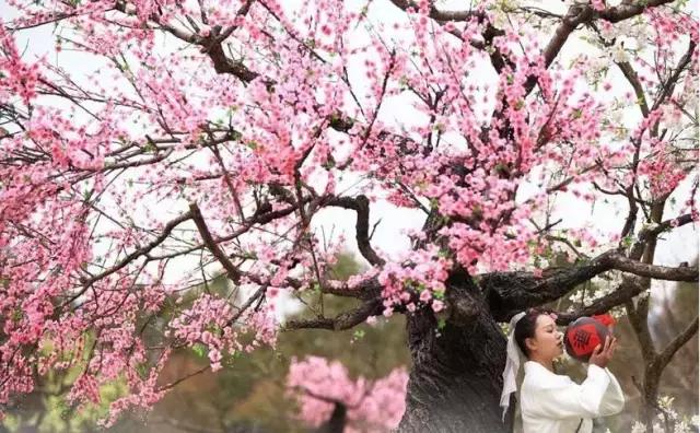 5月19日宁波哪些景点免门票,五一自驾游宁波周边免费景点推荐