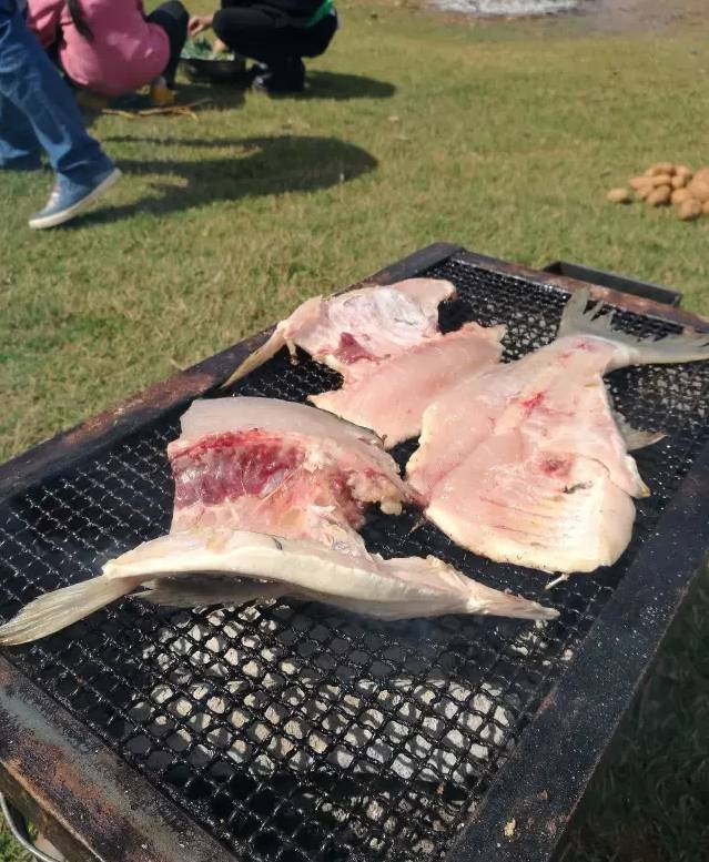 昆明踏青烧烤最佳攻略,昆明可以户外烧烤地方推荐