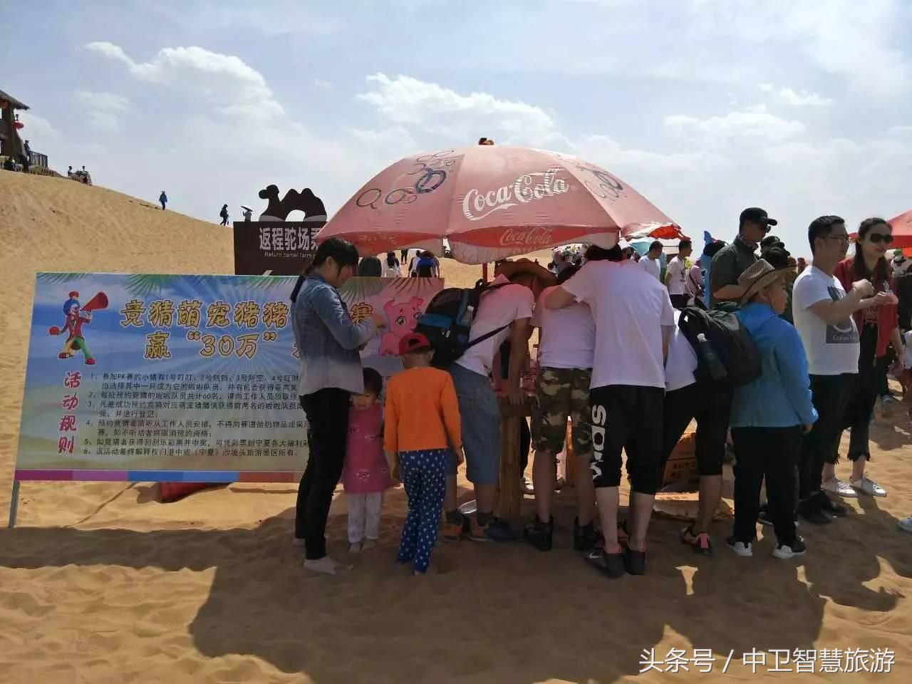 五一中卫旅游免费,中卫五一活动