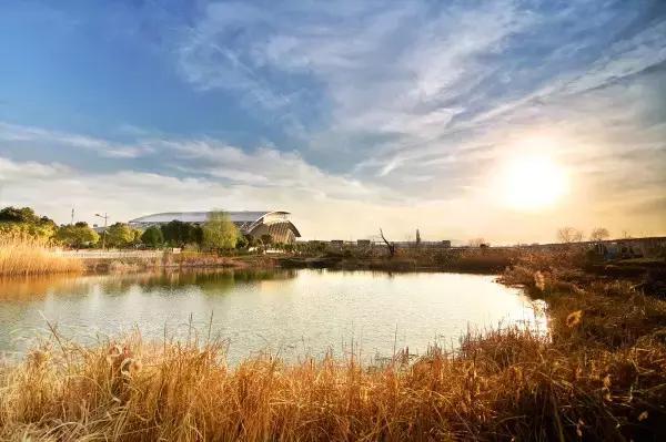 江苏十大最美大学校园,江苏各大高校美景